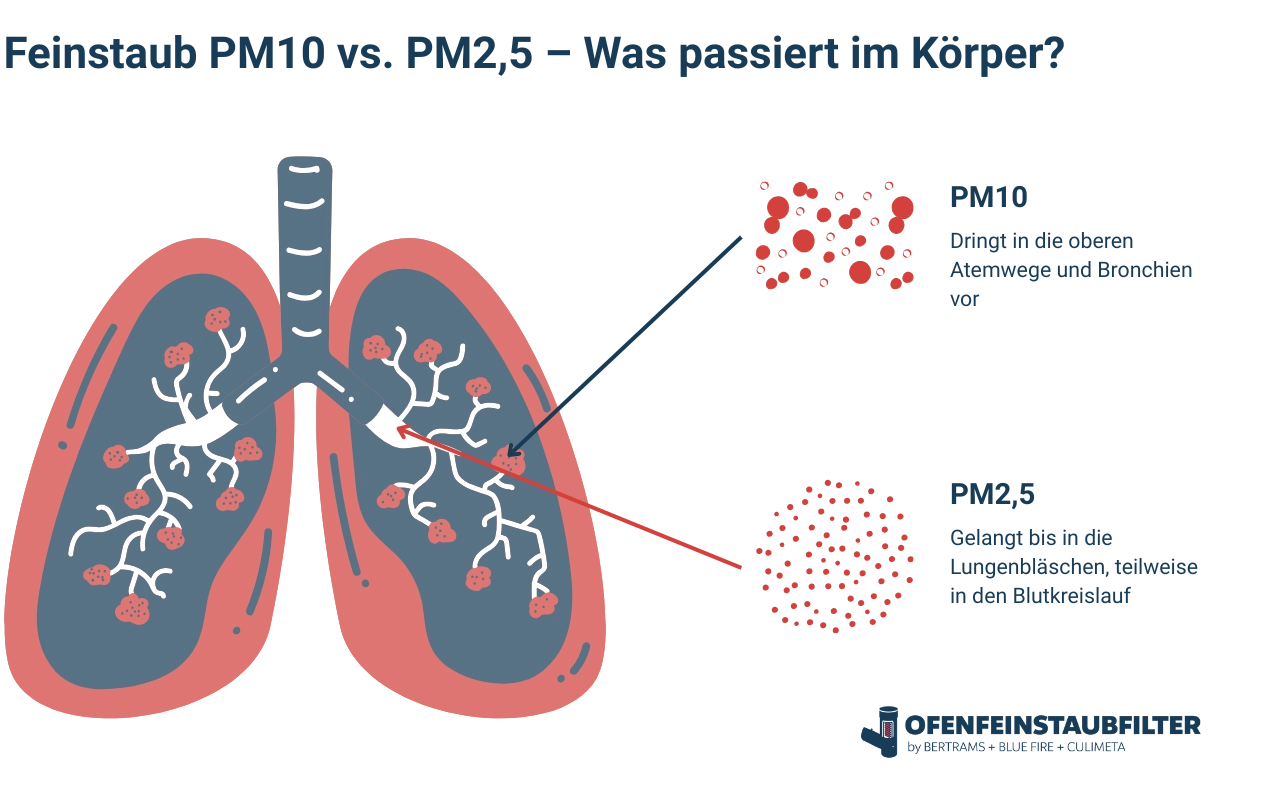 Feinstaub PM10 vs. PM2,5 – Was passiert im Körper Feinstaub PM10 vs. PM2,5 – Was passiert im Körper